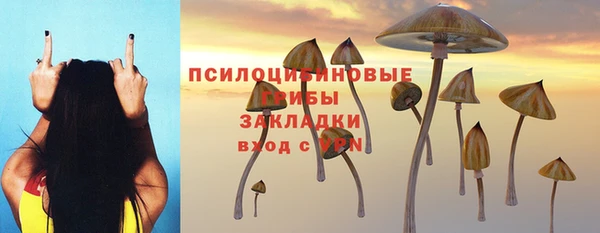 стаф Баксан