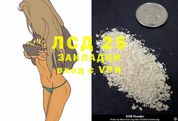 стаф Баксан
